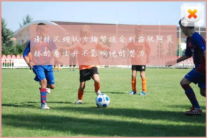 谢林汉姆认为梅努适合利兹联阿莫林的看法并不影响他的潜力