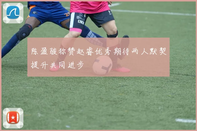 陈盈骏称赞赵睿优秀期待两人默契提升共同进步