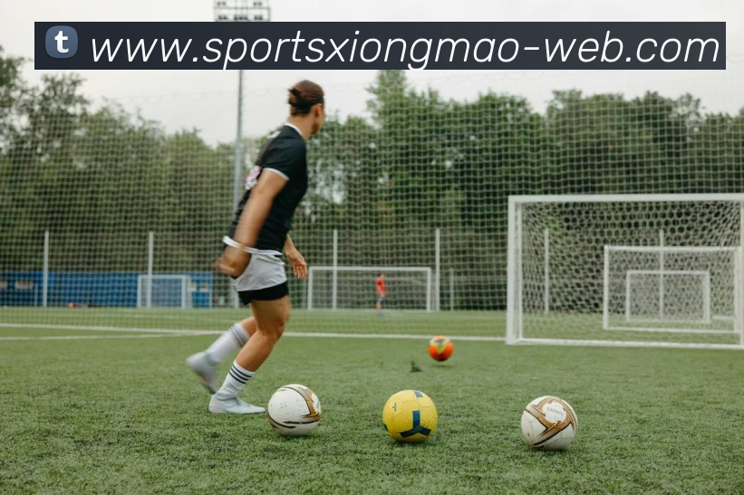 熊猫体育发展历程