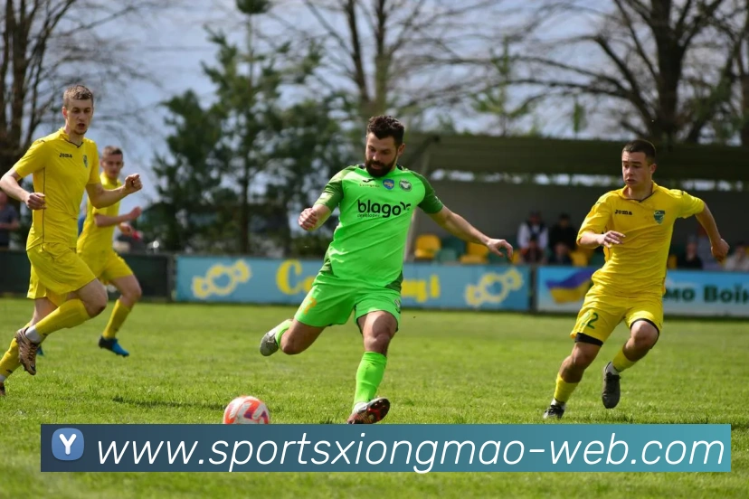 豪泽赞塔图姆全力训练虽未出战却深刻影响全队士气与表现